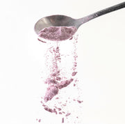 NUTRI-BIOME de Pulse Medical, detalle del frasco de polvo con polifenoles de maqui